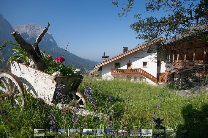 Apartments Schildberghof
